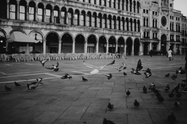 Venice family photographer - Kinga Leftska - vacation photographer Italy-0535